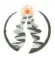 essovra logo